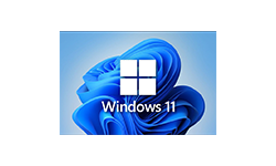 不忘初心版 Windows11 v22H2 (22621.2215) X64 无更新[纯净精简版]