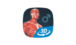 Human body (male) educational VR 3D v1.30 男性身体结构 支持VR