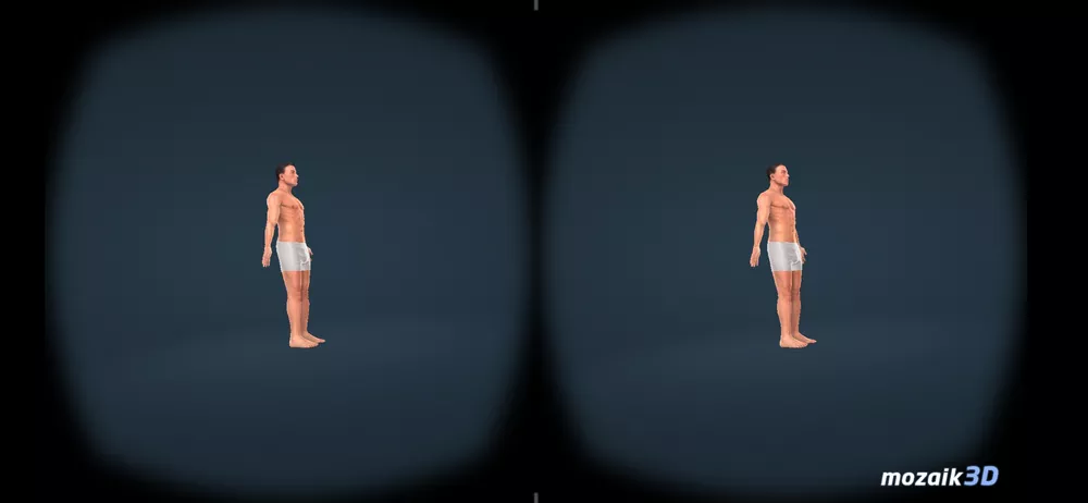 Human body (male) educational VR 3D v1.30 男性身体结构 支持VR-第3张图片-分享迷